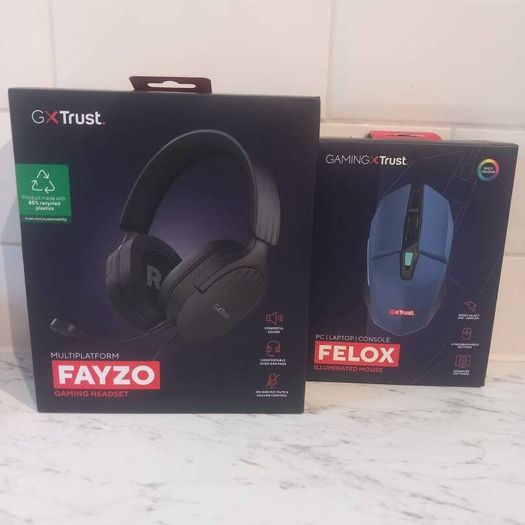 Gaming Headset and mouse