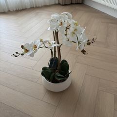 Faux Orchid Designer Flowers from Tara Lane