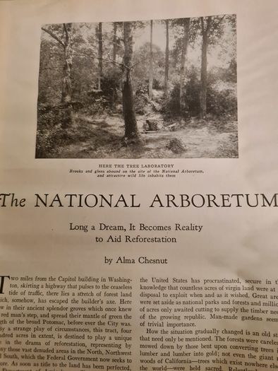 Rare Vintage.  1929. April Edition.  Volume 13 No4 Magazine.