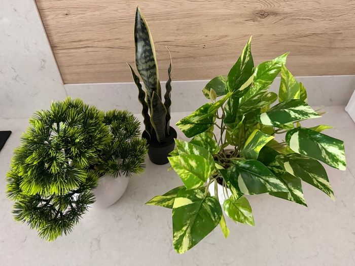Artificial plants x3