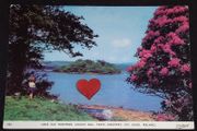 Ireland Postcard : Lake Isle Inishfree , Lough Gill , Yeats County , Co. Sligo - 1960s