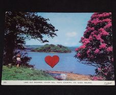Ireland Postcard : Lake Isle Inishfree , Lough Gill , Yeats County , Co. Sligo - 1960s
