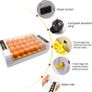 24-Egg Incubator with Automatic Digital Temperature Control Image 3