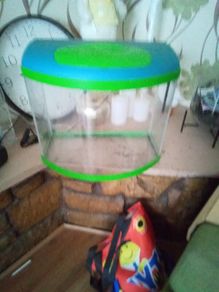 Fish tank