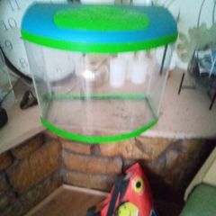 Fish tank