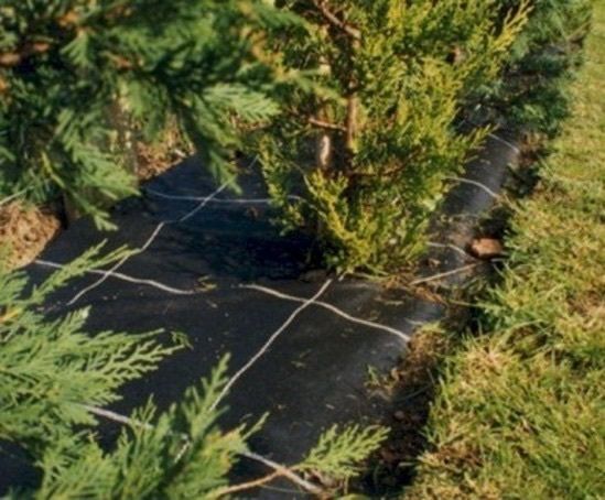 Agrotextile geo cover weed barrier stones bark mulch bedding plants underlay weed matting