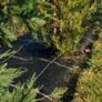Agrotextile geo cover weed barrier stones bark mulch bedding plants underlay weed matting Image 2