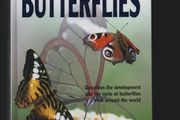 The complete encyclopedia of Butterflies