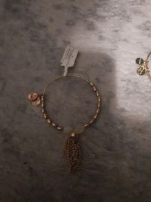 Alex and ani bangle