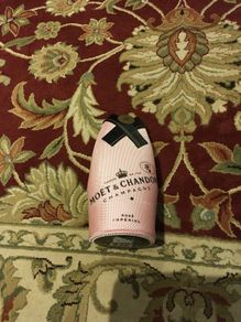 Champagne Bottle Cover