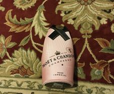 Champagne Bottle Cover