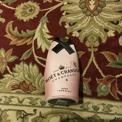 Champagne Bottle Cover