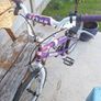 bike Image 5