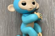 Blue Fingerling Monkey