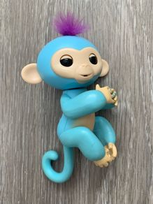 Blue Fingerling Monkey
