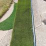 grass Image 2