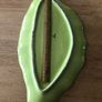 Vintage Leaf Dish Image 4