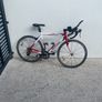 Vitesse Ventura Red and White Image 5