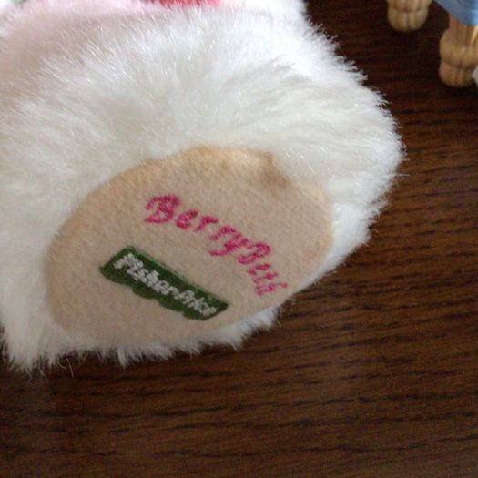 Vintage 90s Fisher price Briar berry "Berry Beth bear "W/ Accesories