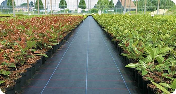 mypex weed control barrier  weed suppressant  weed mat