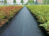 mypex weed control barrier  weed suppressant  weed mat