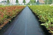 mypex weed control barrier  weed suppressant  weed mat