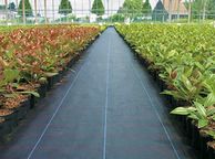 main image for ad mypex weed control barrier  weed suppressant  weed mat