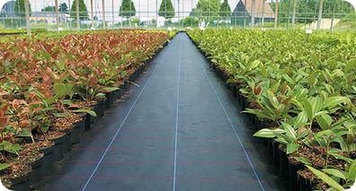 mypex weed control barrier  weed suppressant  weed mat