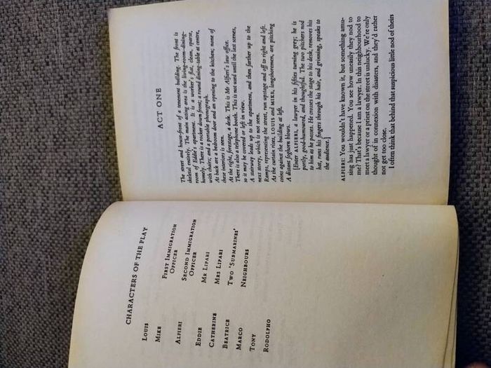 Arthur Miller a view from the bridge and All My Sons in good condition with some signs of wear on the cover see photos FREE STANDARD POSTAGE INCLUDED