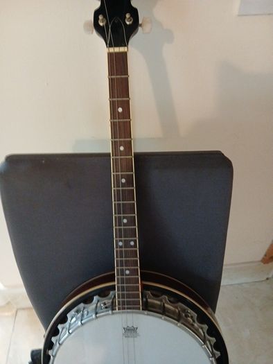 westfield remo four string tenner banjo
