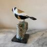 Hand-Carved Gemstone Goldfinch on Natural Crystal Base Image 6