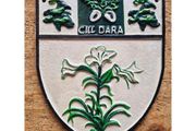 Kildare Crest HS607