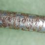 Vintage Antique Ratcheting Brace Hand Drills (25 each) Image 10