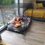 Dog Crate Image 2