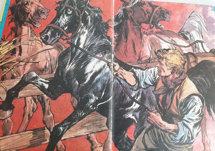 Black beauty vintage 1985 annual