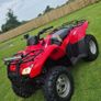 Quad Image 2