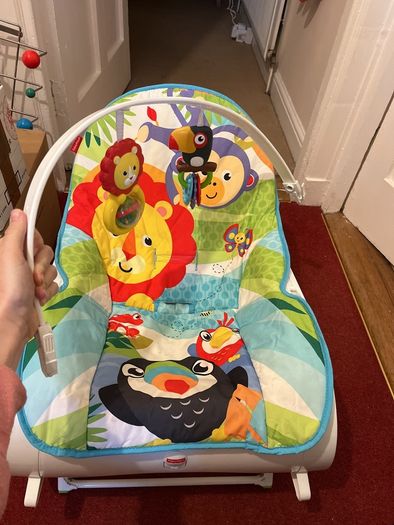 Fisher Price Baby Bouncer