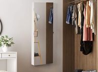 main image for ad Jewellery cabinet with frameless mirror door