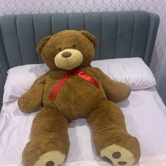 teddy bear