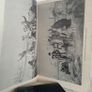 The Atlantic Migration 1607-1860: A History of the Continuing Settlement of the United States by Marcus Lee Hansen (HQ508) Image 3