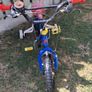kids bike Image 3