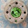 spare wheel Image 2