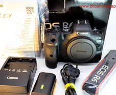 Canon Eos R6 Mirrorless Camera #0355