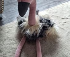 Rare and Retired Romanda Ostrich Jellycat