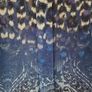 Warehouse ladies blouse uk10 Image 5