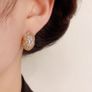 Earrings Image 2