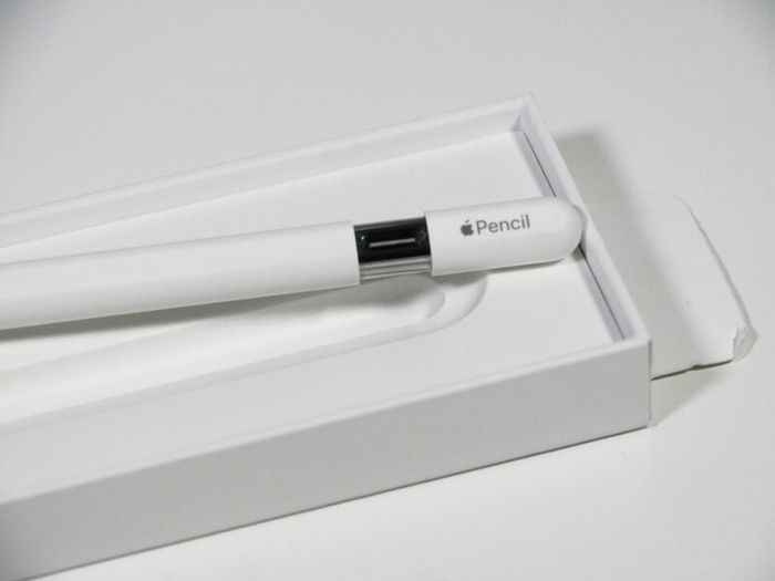 Apple Pencil (USB-C)