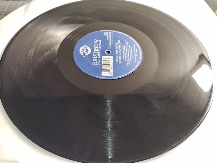 Kristine W - Feel What You Want - Champion Records - 90s VOCAL House BANGER!!
