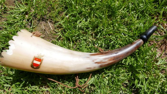 Vintage Hunting Horn 12"