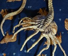 Life size 1/1 scale Alien face hugger